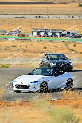 media/Sep-08-2024-VIP Trackdays (Sun) [[e20bd699b9]]/A Group/Session 1-Turn 2/